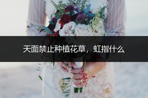 天面禁止种植花草，虹指什么
