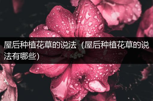 屋后种植花草的说法（屋后种植花草的说法有哪些）
