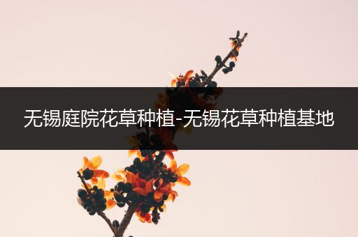 无锡庭院花草种植-无锡花草种植基地