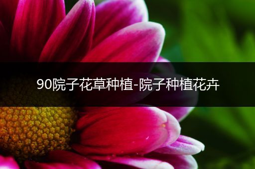 90院子花草种植-院子种植花卉