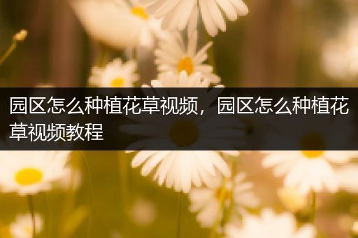 园区怎么种植花草视频，园区怎么种植花草视频教程