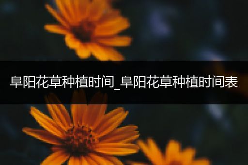 阜阳花草种植时间_阜阳花草种植时间表