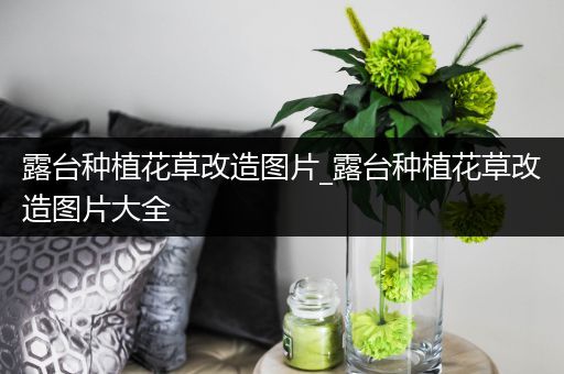 露台种植花草改造图片_露台种植花草改造图片大全