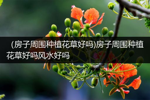 （房子周围种植花草好吗)房子周围种植花草好吗风水好吗