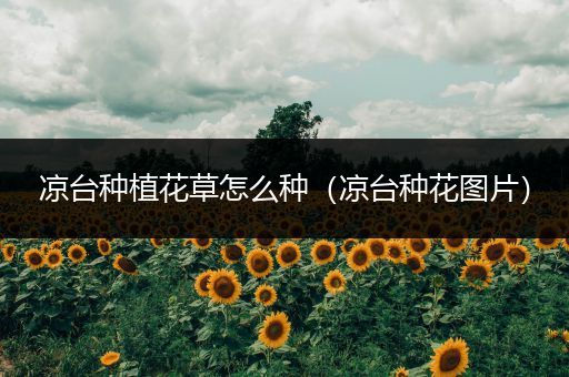 凉台种植花草怎么种（凉台种花图片）