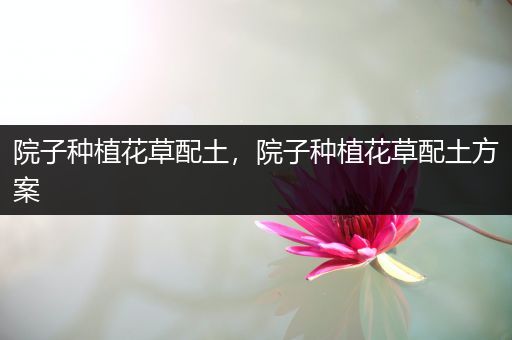 院子种植花草配土，院子种植花草配土方案