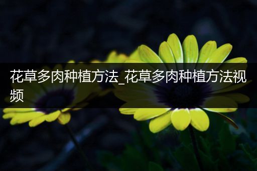 花草多肉种植方法_花草多肉种植方法视频