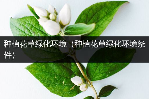 种植花草绿化环境（种植花草绿化环境条件）