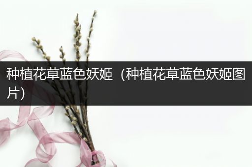 种植花草蓝色妖姬（种植花草蓝色妖姬图片）