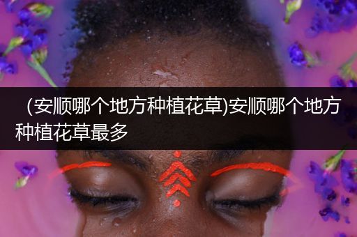 （安顺哪个地方种植花草)安顺哪个地方种植花草最多