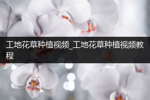 工地花草种植视频_工地花草种植视频教程