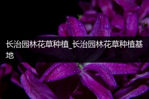 长治园林花草种植_长治园林花草种植基地