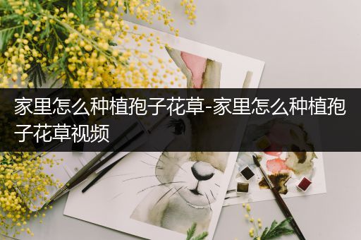 家里怎么种植孢子花草-家里怎么种植孢子花草视频