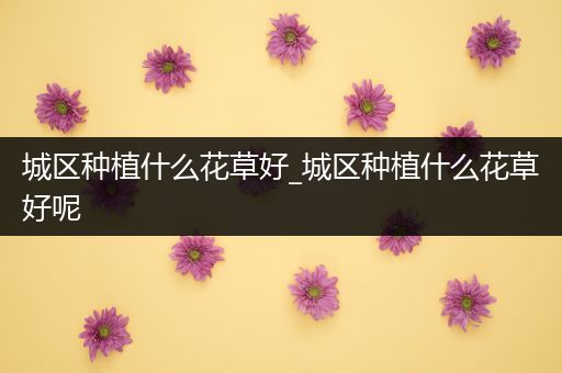 城区种植什么花草好_城区种植什么花草好呢