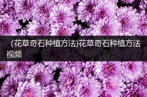 （花草奇石种植方法)花草奇石种植方法视频