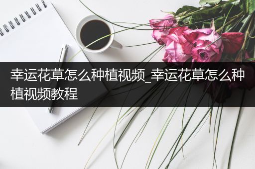 幸运花草怎么种植视频_幸运花草怎么种植视频教程