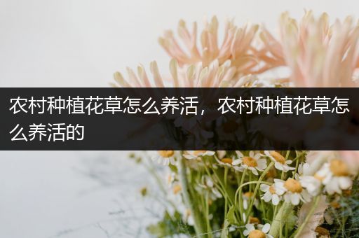 农村种植花草怎么养活，农村种植花草怎么养活的