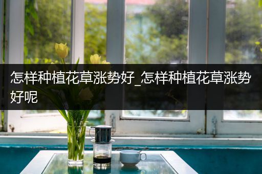 怎样种植花草涨势好_怎样种植花草涨势好呢