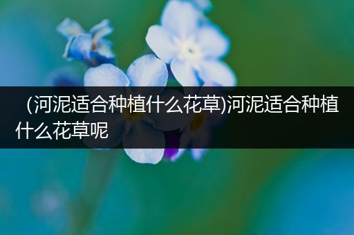 （河泥适合种植什么花草)河泥适合种植什么花草呢