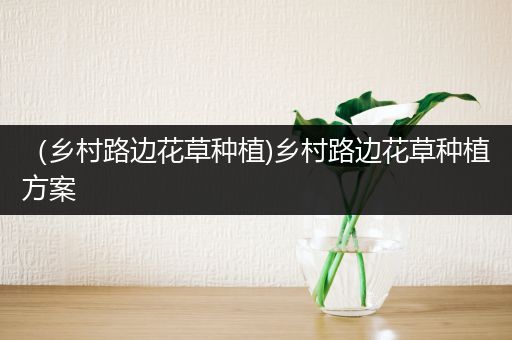 （乡村路边花草种植)乡村路边花草种植方案