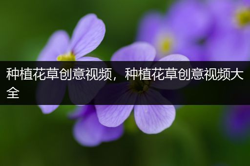 种植花草创意视频，种植花草创意视频大全