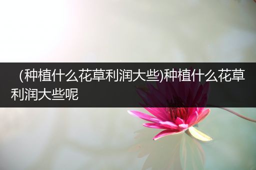 （种植什么花草利润大些)种植什么花草利润大些呢