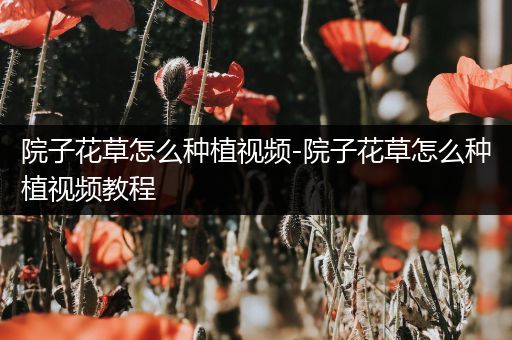 院子花草怎么种植视频-院子花草怎么种植视频教程