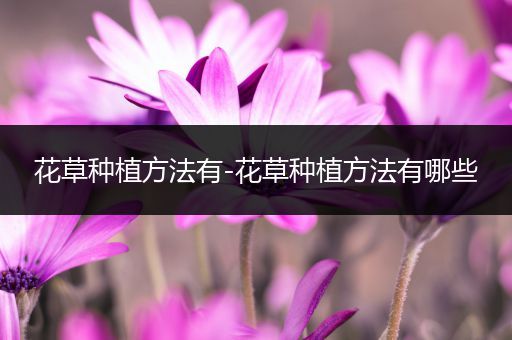 花草种植方法有-花草种植方法有哪些