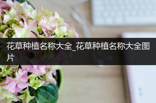 花草种植名称大全_花草种植名称大全图片