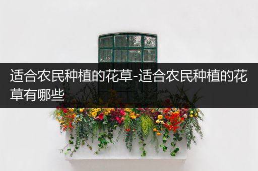 适合农民种植的花草-适合农民种植的花草有哪些