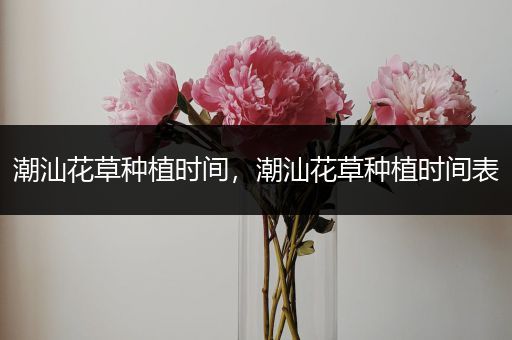 潮汕花草种植时间，潮汕花草种植时间表