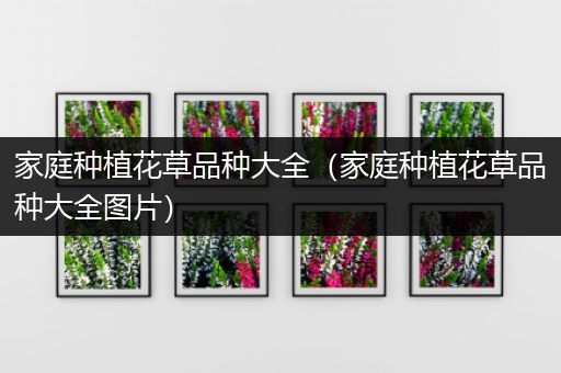 家庭种植花草品种大全（家庭种植花草品种大全图片）