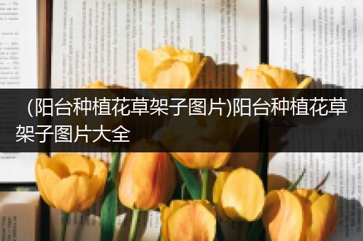 （阳台种植花草架子图片)阳台种植花草架子图片大全