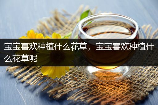 宝宝喜欢种植什么花草，宝宝喜欢种植什么花草呢