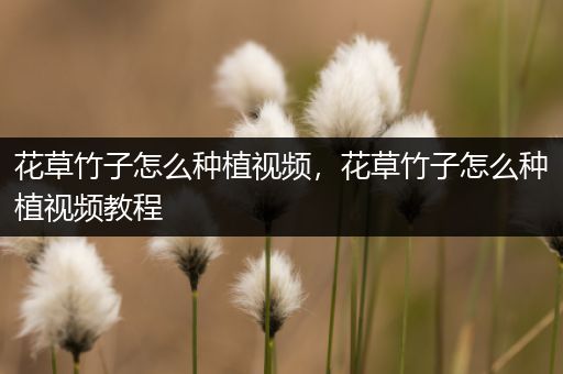 花草竹子怎么种植视频，花草竹子怎么种植视频教程