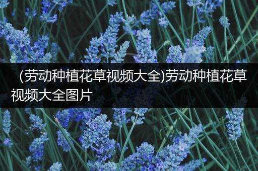 （劳动种植花草视频大全)劳动种植花草视频大全图片