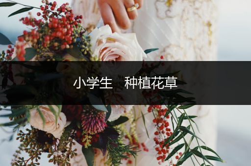 小学生   种植花草