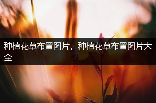 种植花草布置图片，种植花草布置图片大全