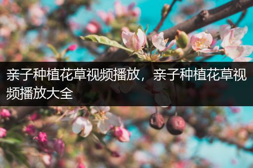 亲子种植花草视频播放，亲子种植花草视频播放大全