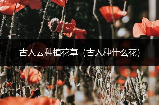 古人云种植花草（古人种什么花）