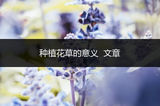 种植花草的意义  文章