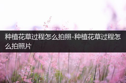 种植花草过程怎么拍照-种植花草过程怎么拍照片