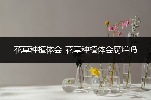 花草种植体会_花草种植体会腐烂吗