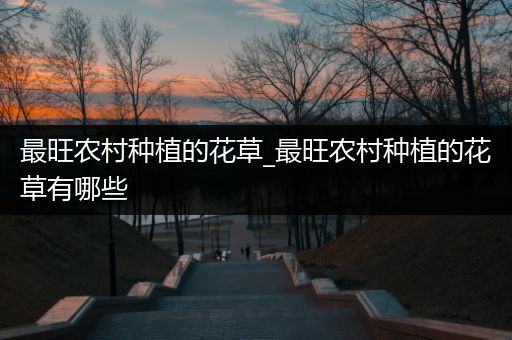 最旺农村种植的花草_最旺农村种植的花草有哪些