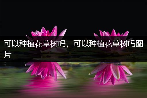可以种植花草树吗，可以种植花草树吗图片