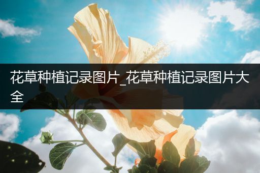 花草种植记录图片_花草种植记录图片大全