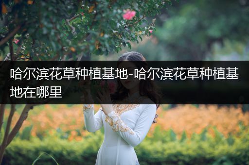 哈尔滨花草种植基地-哈尔滨花草种植基地在哪里