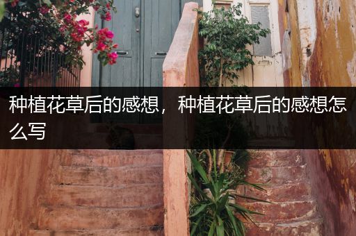 种植花草后的感想，种植花草后的感想怎么写