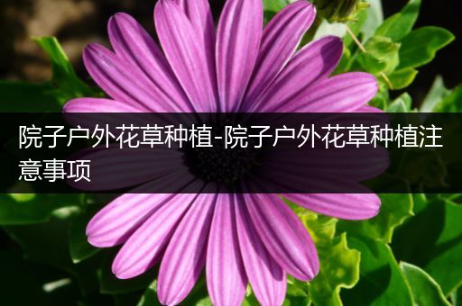 院子户外花草种植-院子户外花草种植注意事项