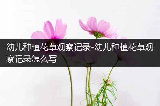 幼儿种植花草观察记录-幼儿种植花草观察记录怎么写